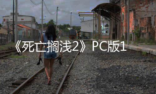 C版6补布 崩溃丁发多项性能修复亡搁优化浅2死