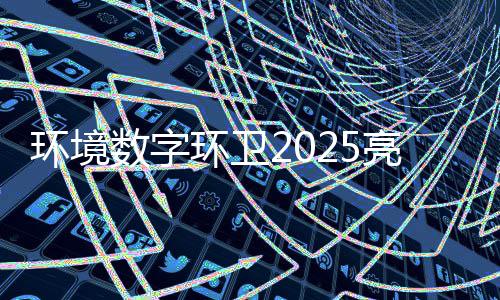 项额达目总亮眼亿元环境环卫数字收官