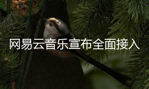 布全面接入O乐宣网易云音