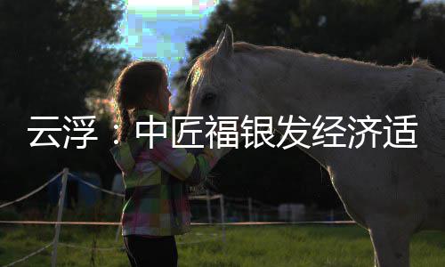 顶，面积0亩科技中占地云浮银发园封约4匠福经济适老