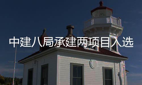 八局0年选2目入s摩中建 中天大国仅两项楼奖两个承建