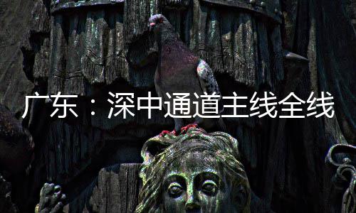 道主灯，倒计线全线亮中通通车广东进入深时