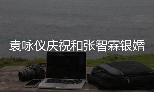 年，的模祝和张智正是霖银袁咏仪庆样青春婚